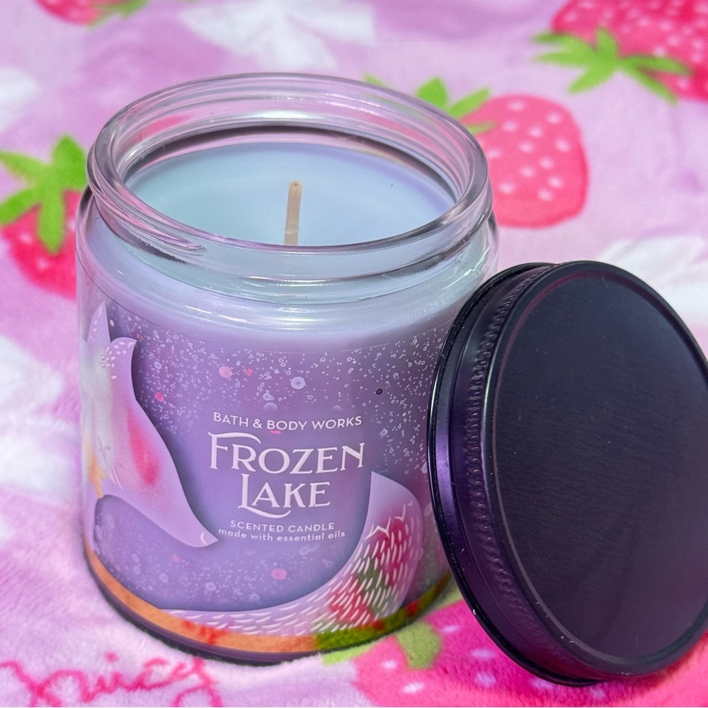 Bath & Body Works Frozen Lake Single Wick Candle 7oz NWT Winter